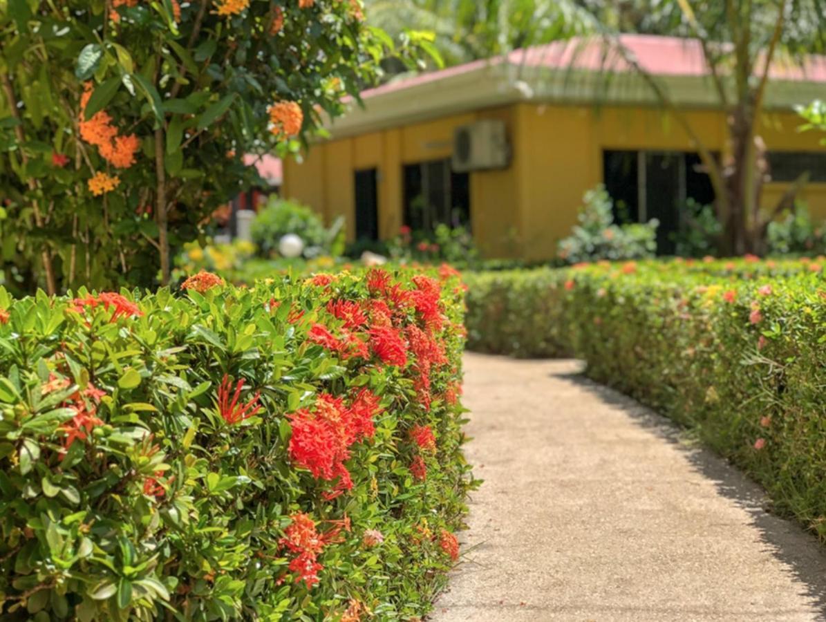 Hotel Isolina Beach โปเตรโร ภายนอก รูปภาพ