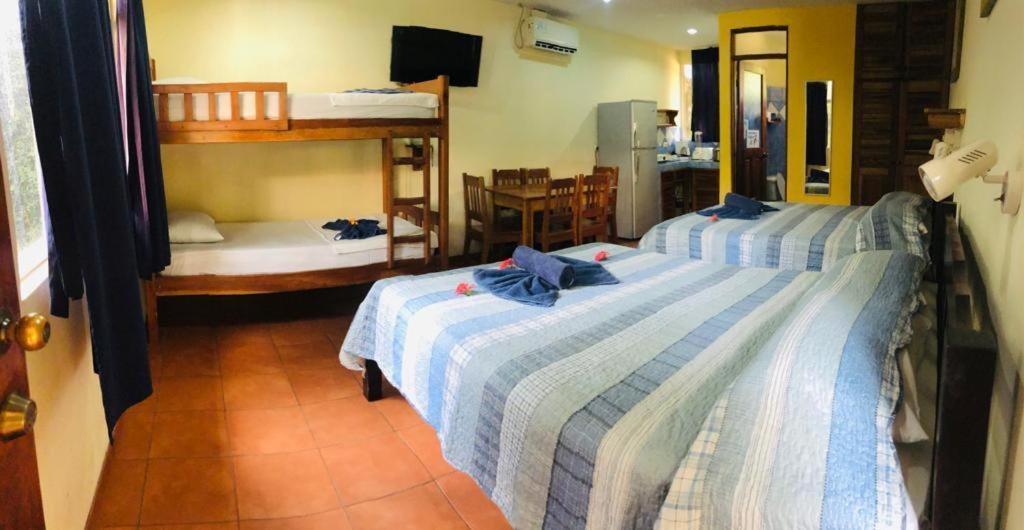 Hotel Isolina Beach โปเตรโร ภายนอก รูปภาพ