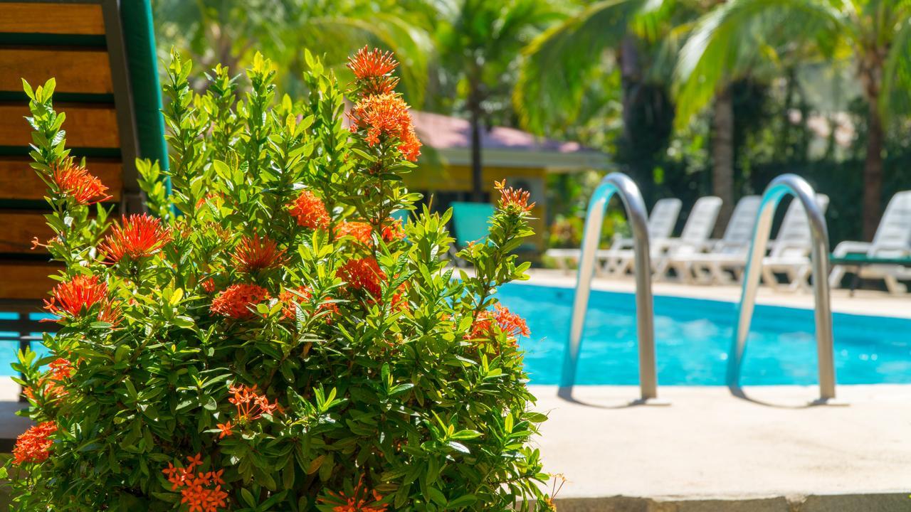 Hotel Isolina Beach โปเตรโร ภายนอก รูปภาพ